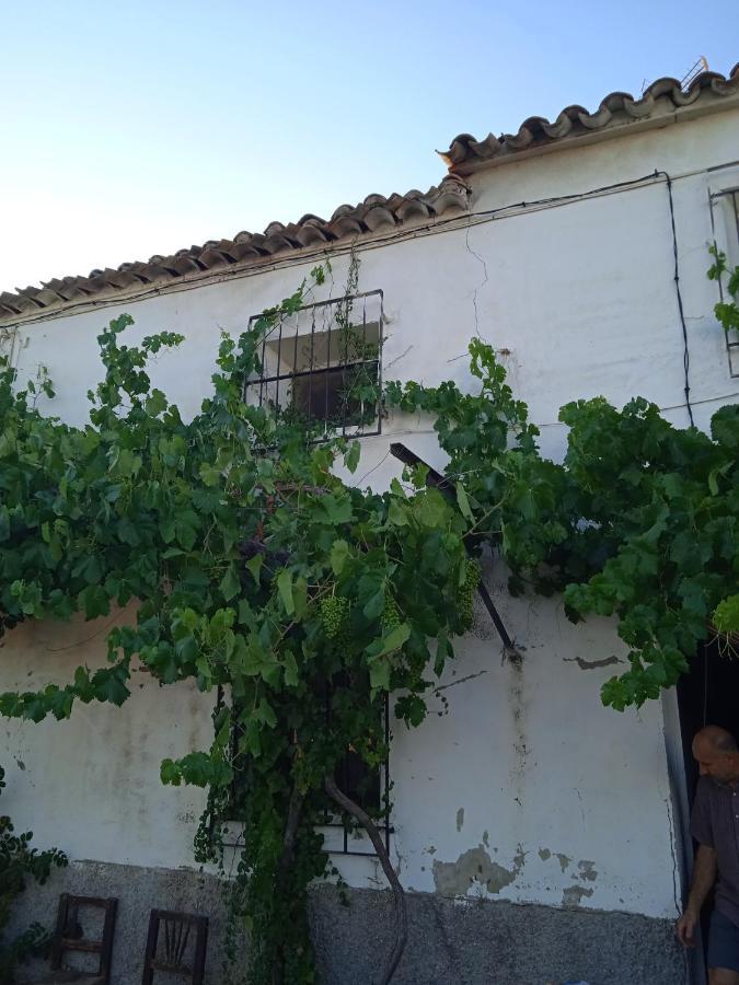 La Casa De Maria Panzió Bogarra Kültér fotó